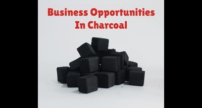 Business Opportunities in Charcoal Briquettes: How To Get Started?